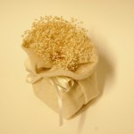 <!--:it-->DSC_4446<!--:-->