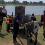 <!--:it-->a1<!--:-->