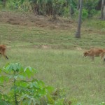 <!--:it-->a2<!--:-->