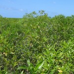 <!--:it-->ag1<!--:-->