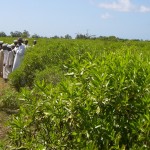 <!--:it-->ag3<!--:-->