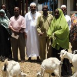 <!--:it-->allev2<!--:-->