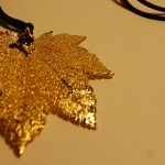 <!--:it-->gi<!--:-->