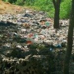 <!--:it-->r12<!--:-->