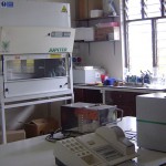 <!--:it-->sis4<!--:-->